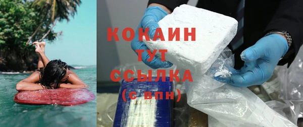 винт Горняк