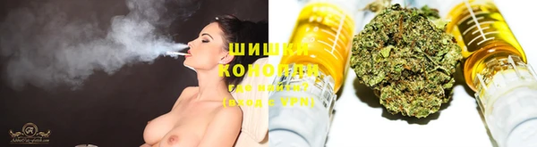 винт Горняк