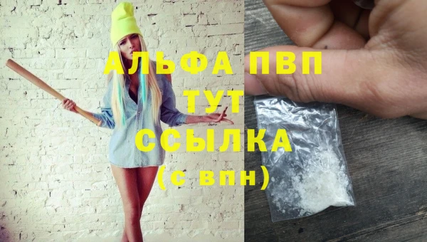 гашик Горно-Алтайск